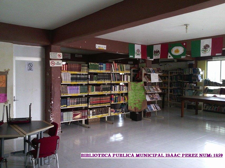 imagen3
