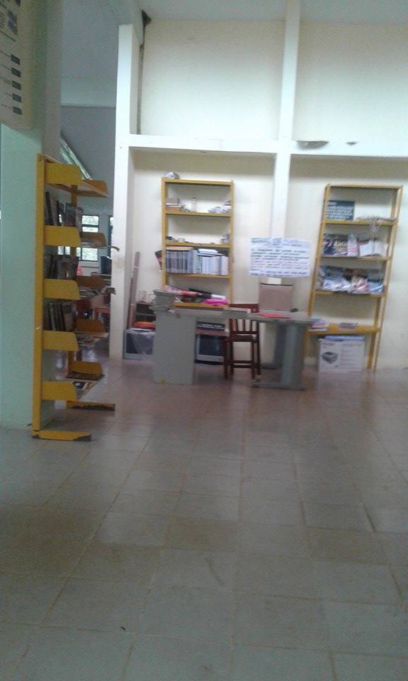 imagen3