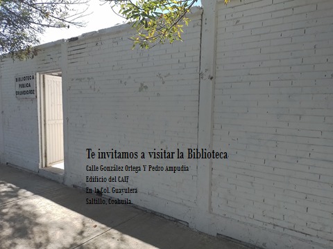 imagen3