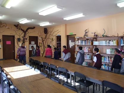 imagen3