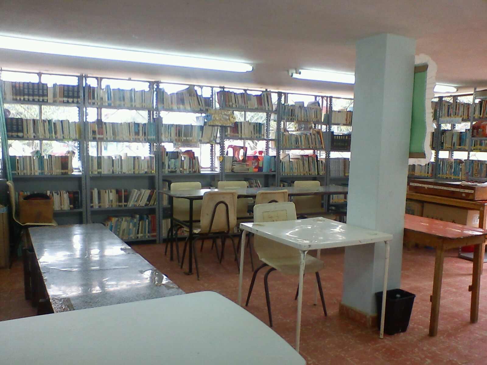 imagen3