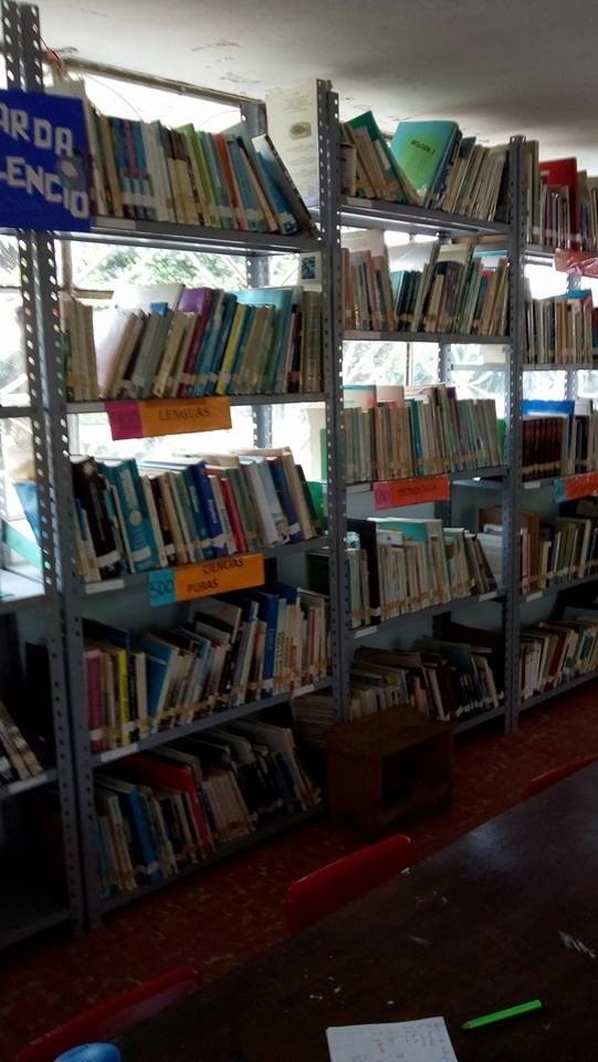 imagen3