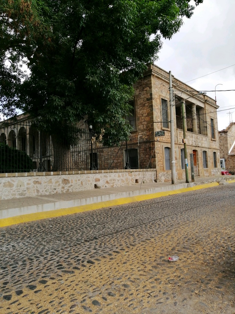 imagen1