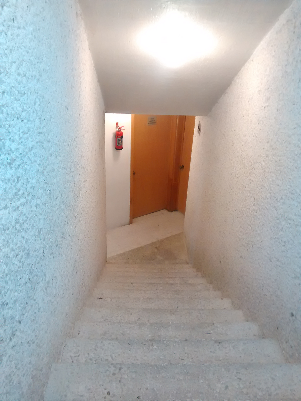 imagen2