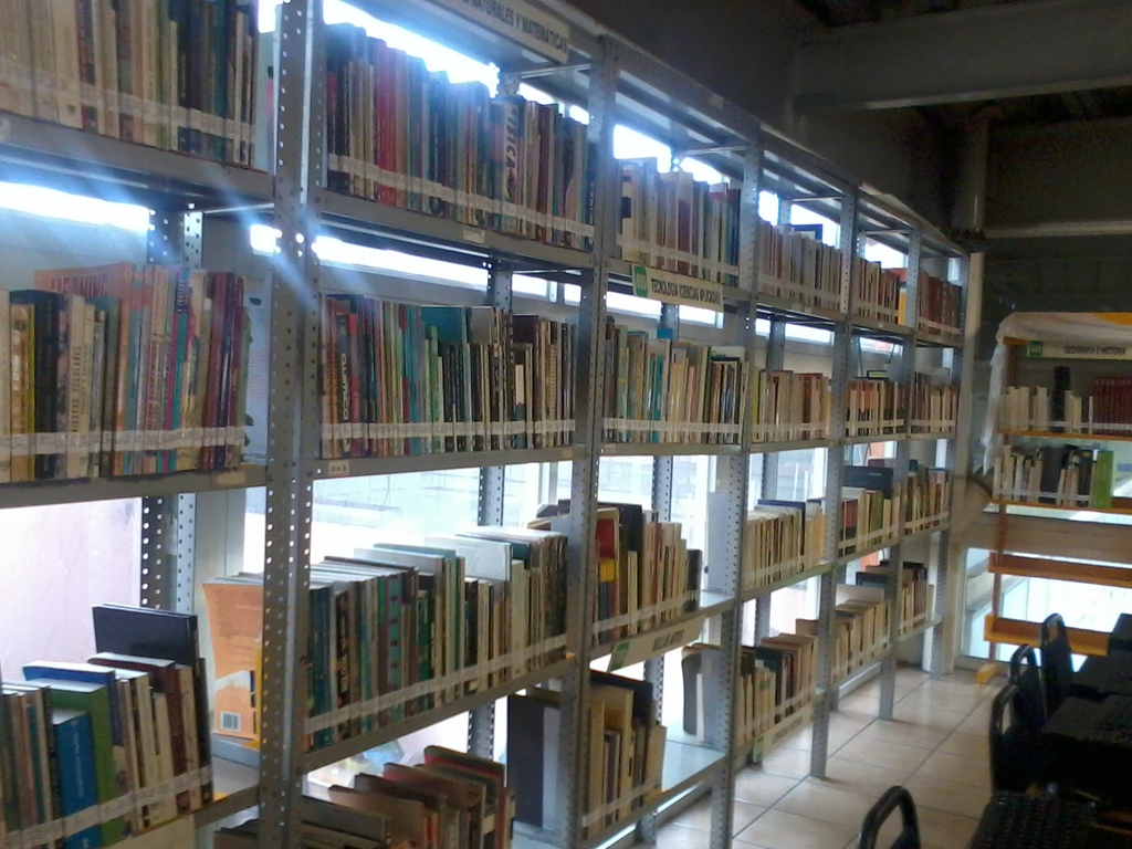 imagen1