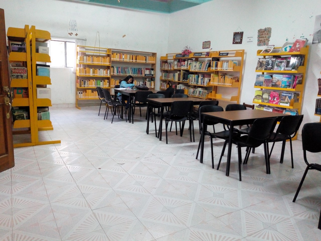 imagen1