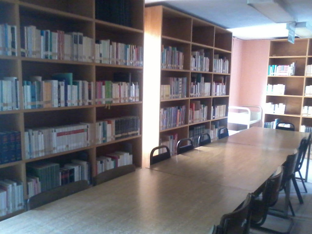 imagen2