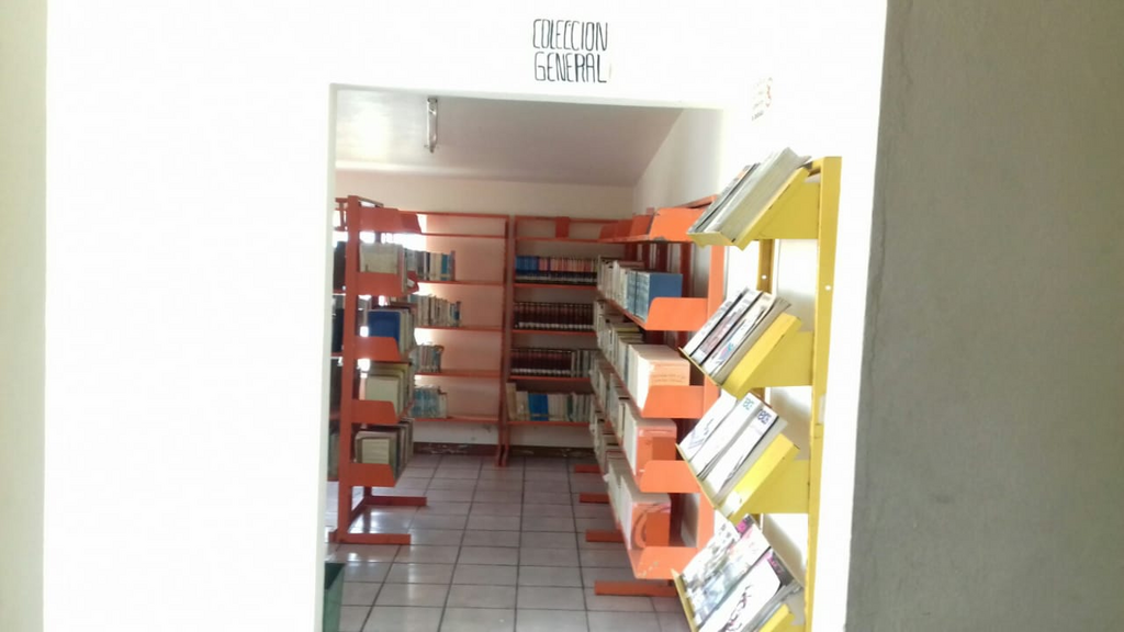 imagen1