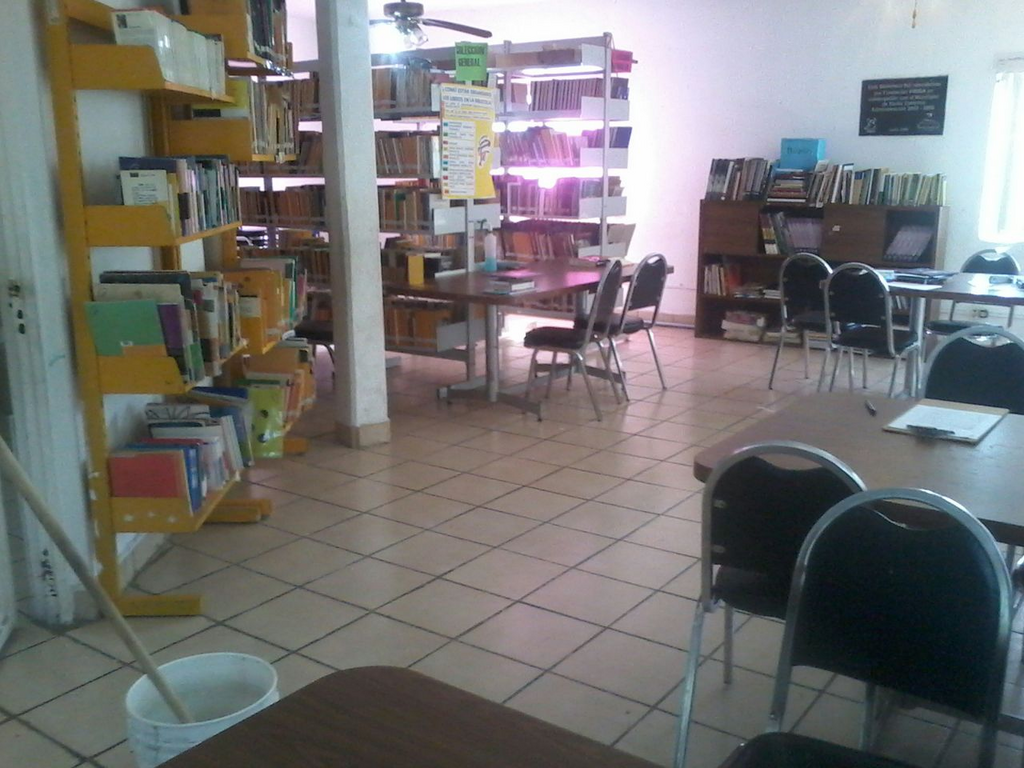 imagen0