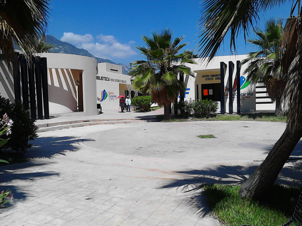 imagen1