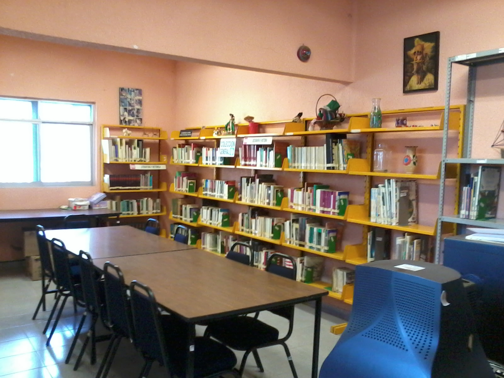 imagen2