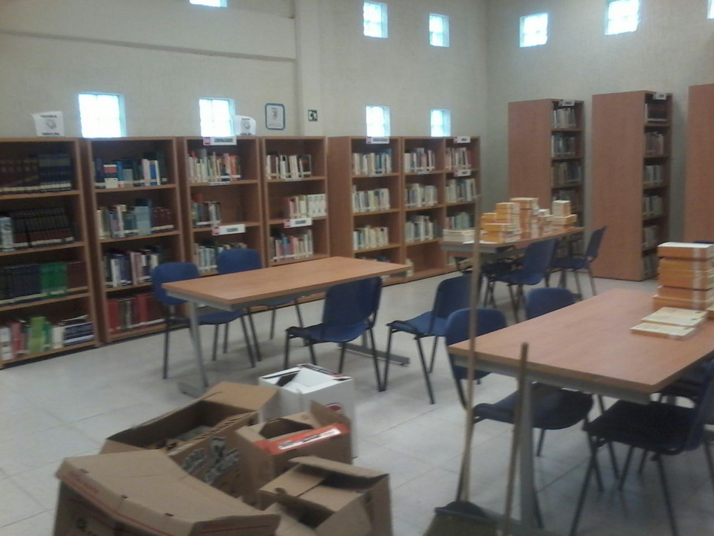imagen1