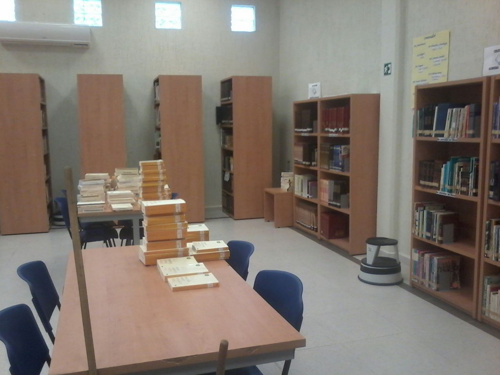 imagen3
