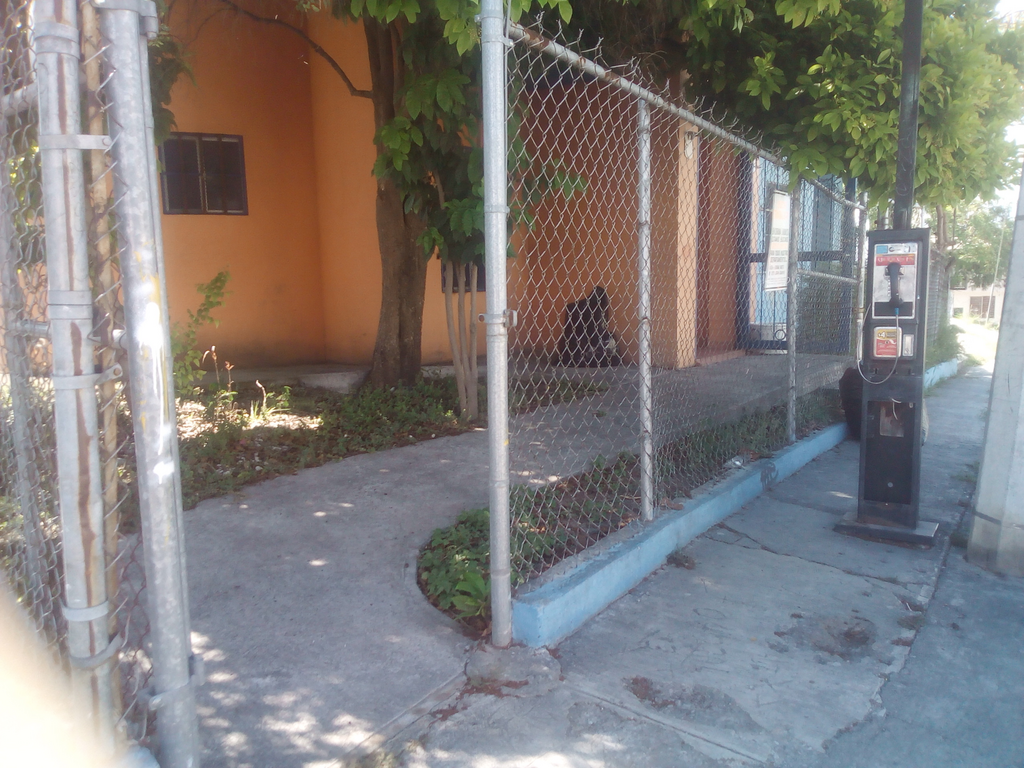 imagen1