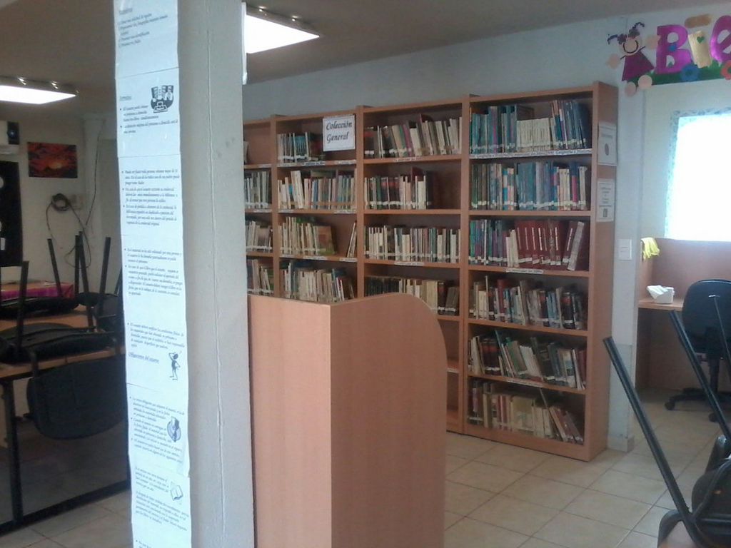 imagen1