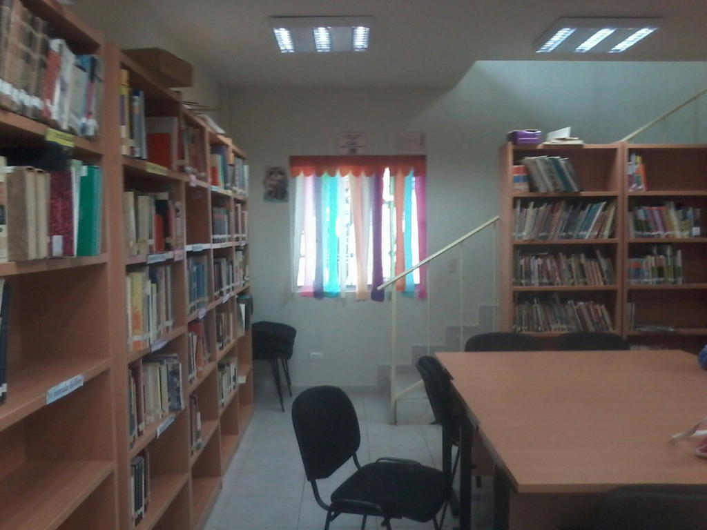 imagen3
