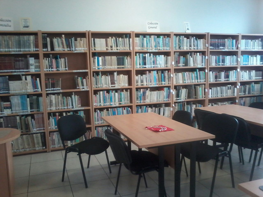 imagen1