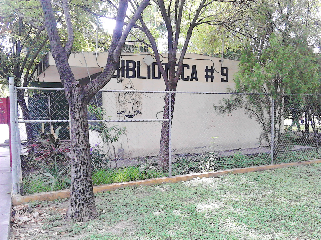 imagen2