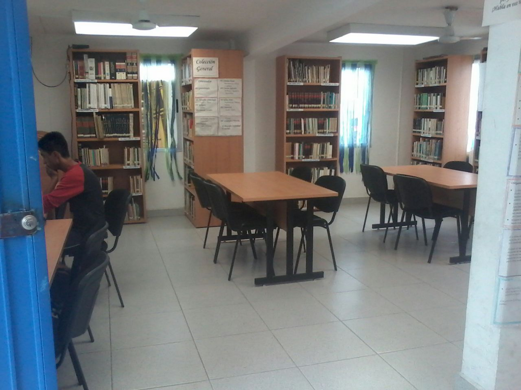 imagen3