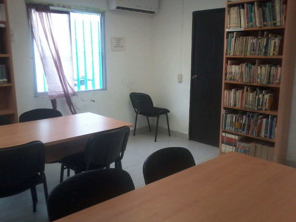 imagen0