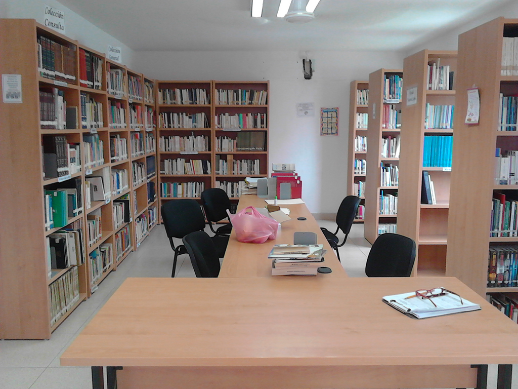 imagen3