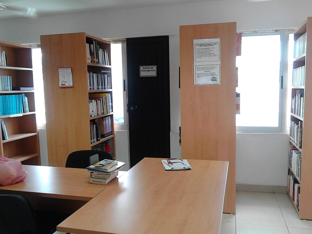 imagen1