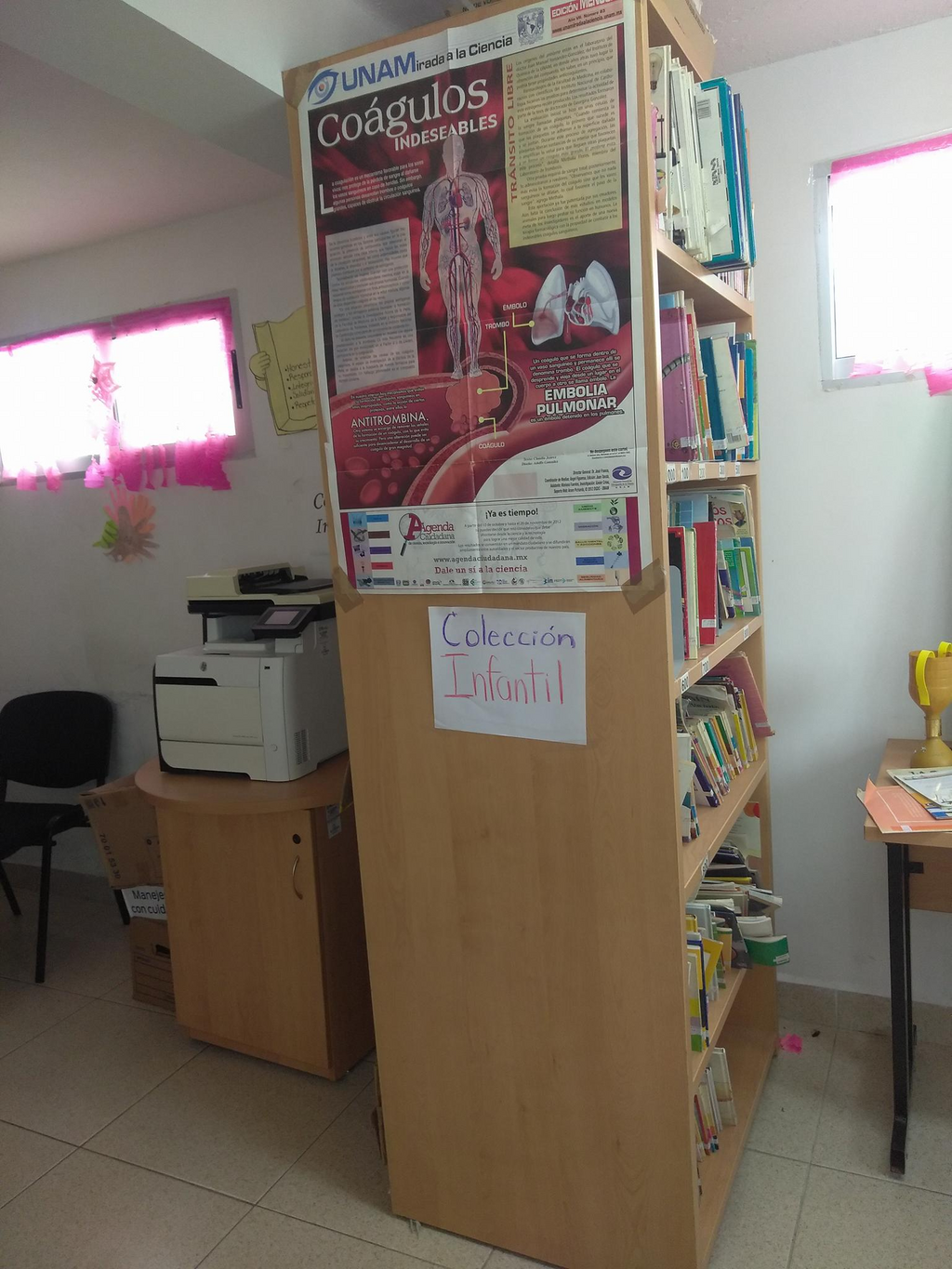 imagen1