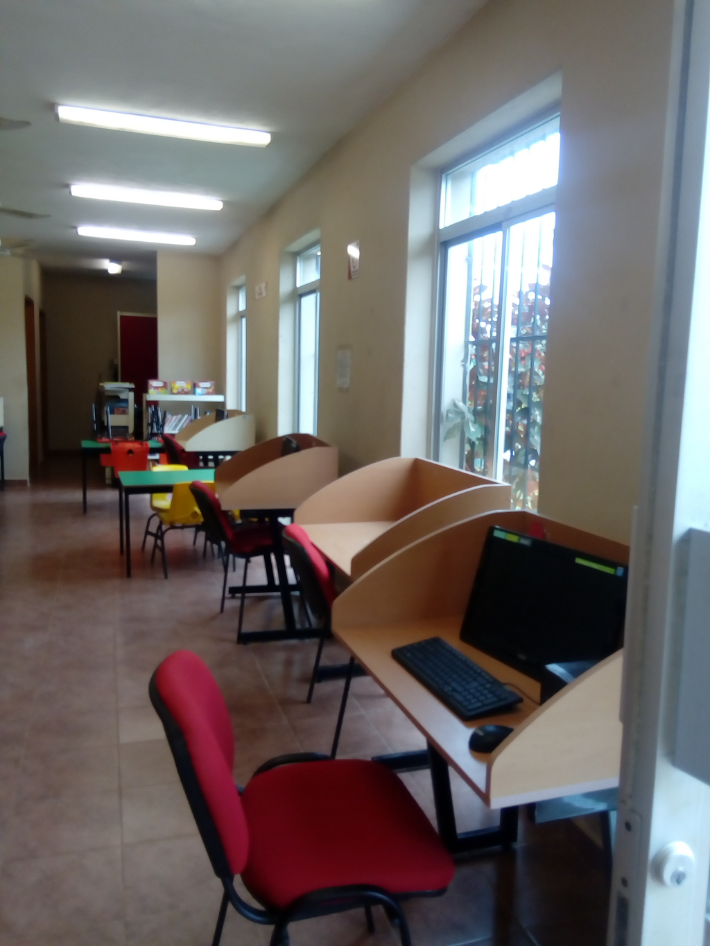 imagen1
