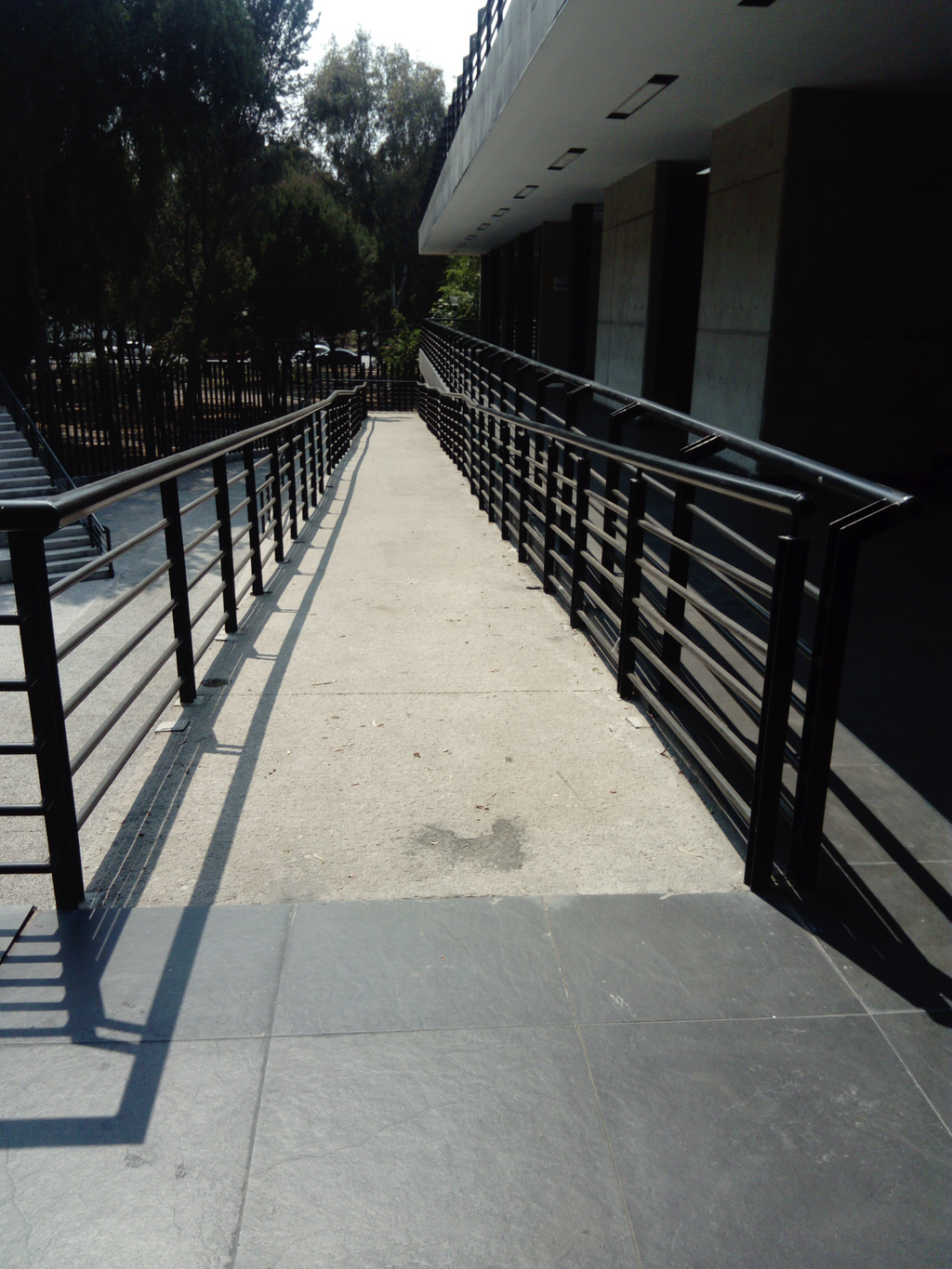 imagen3