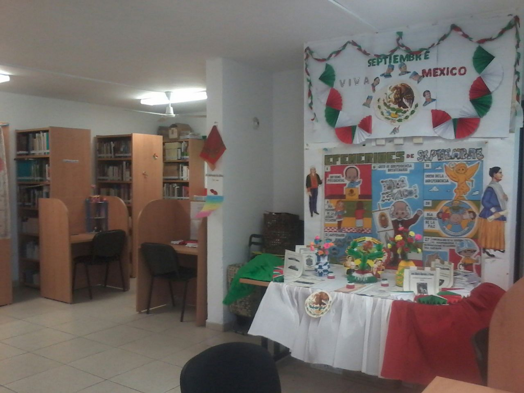 imagen1