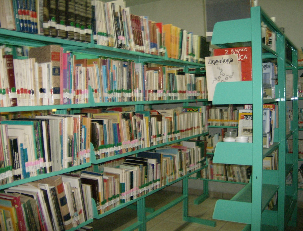 imagen2