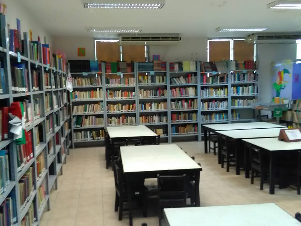 imagen2
