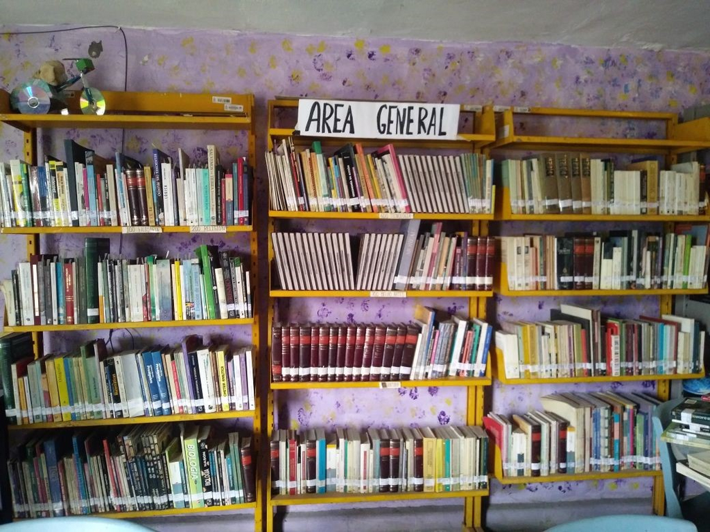 imagen2
