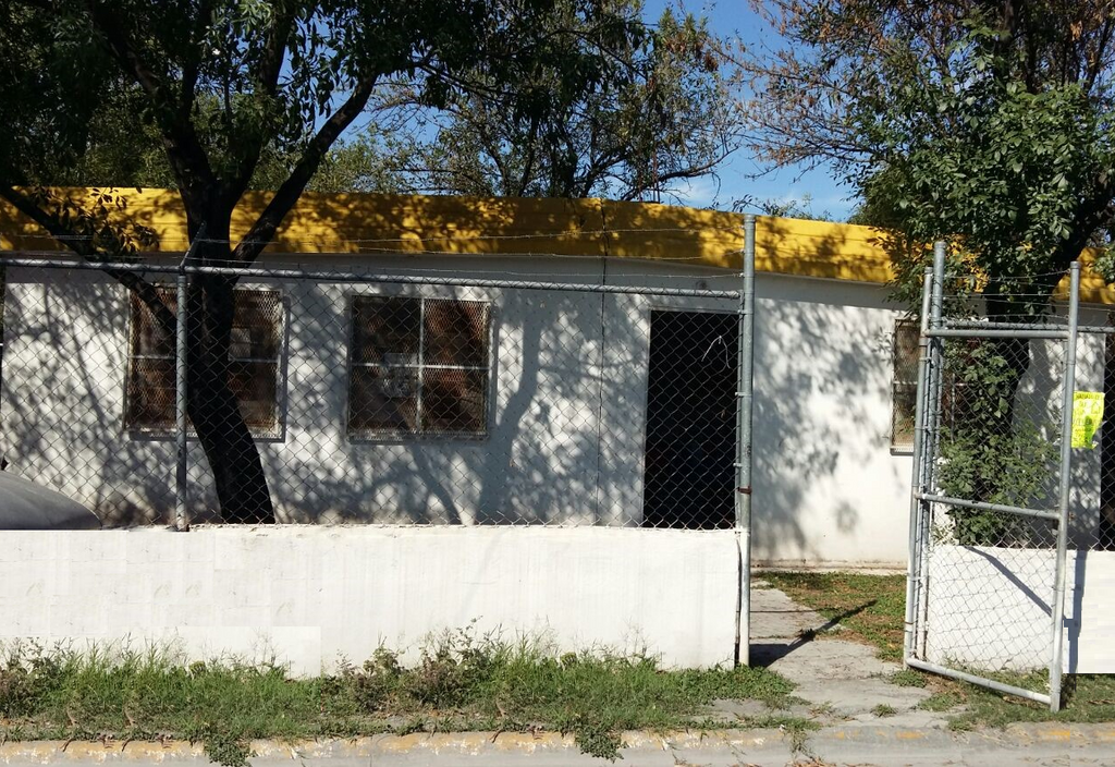 imagen1