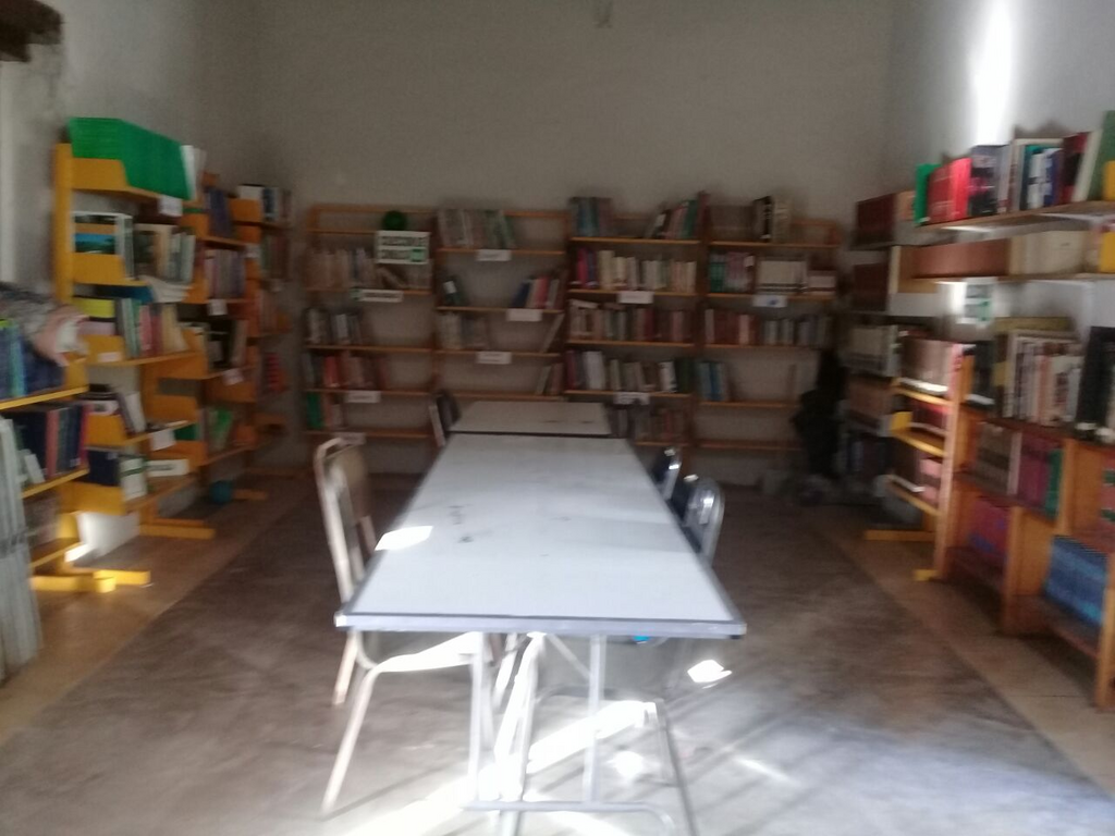 imagen3