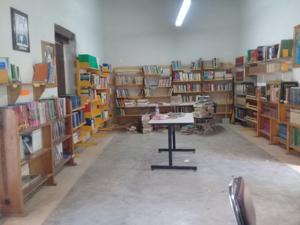 imagen1