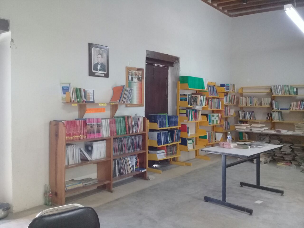 imagen3