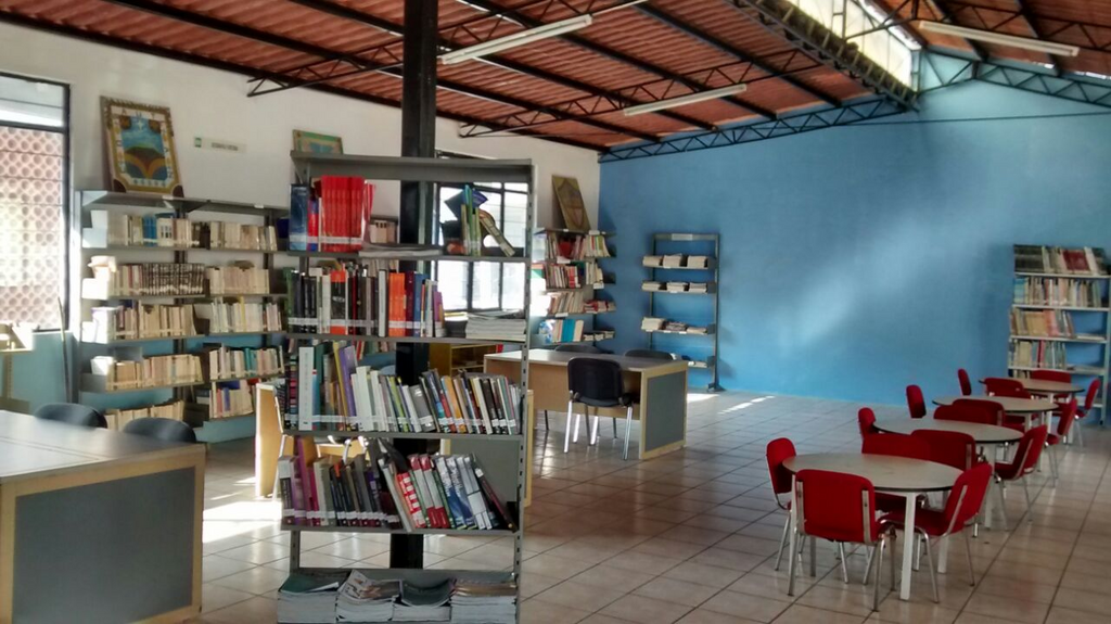 imagen2
