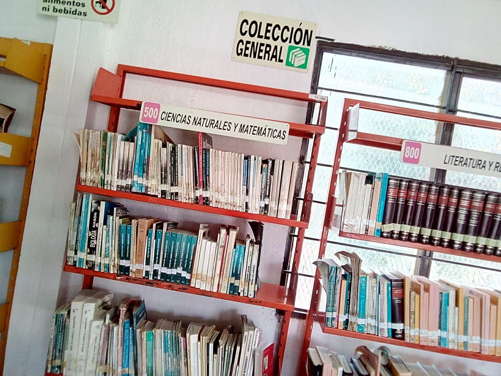 imagen1
