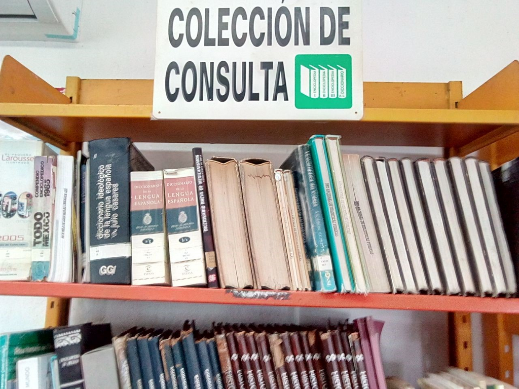 imagen3