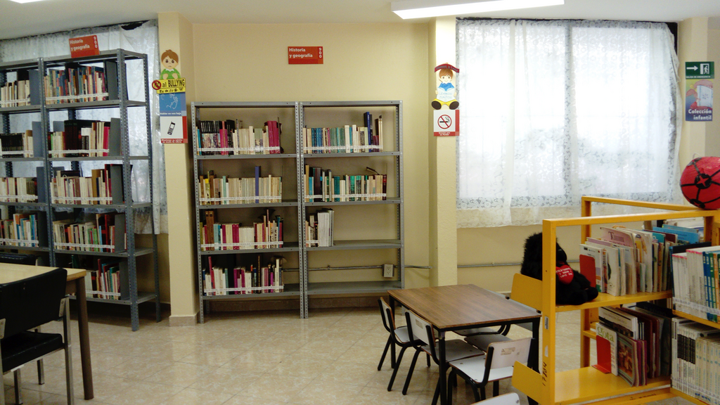 imagen1