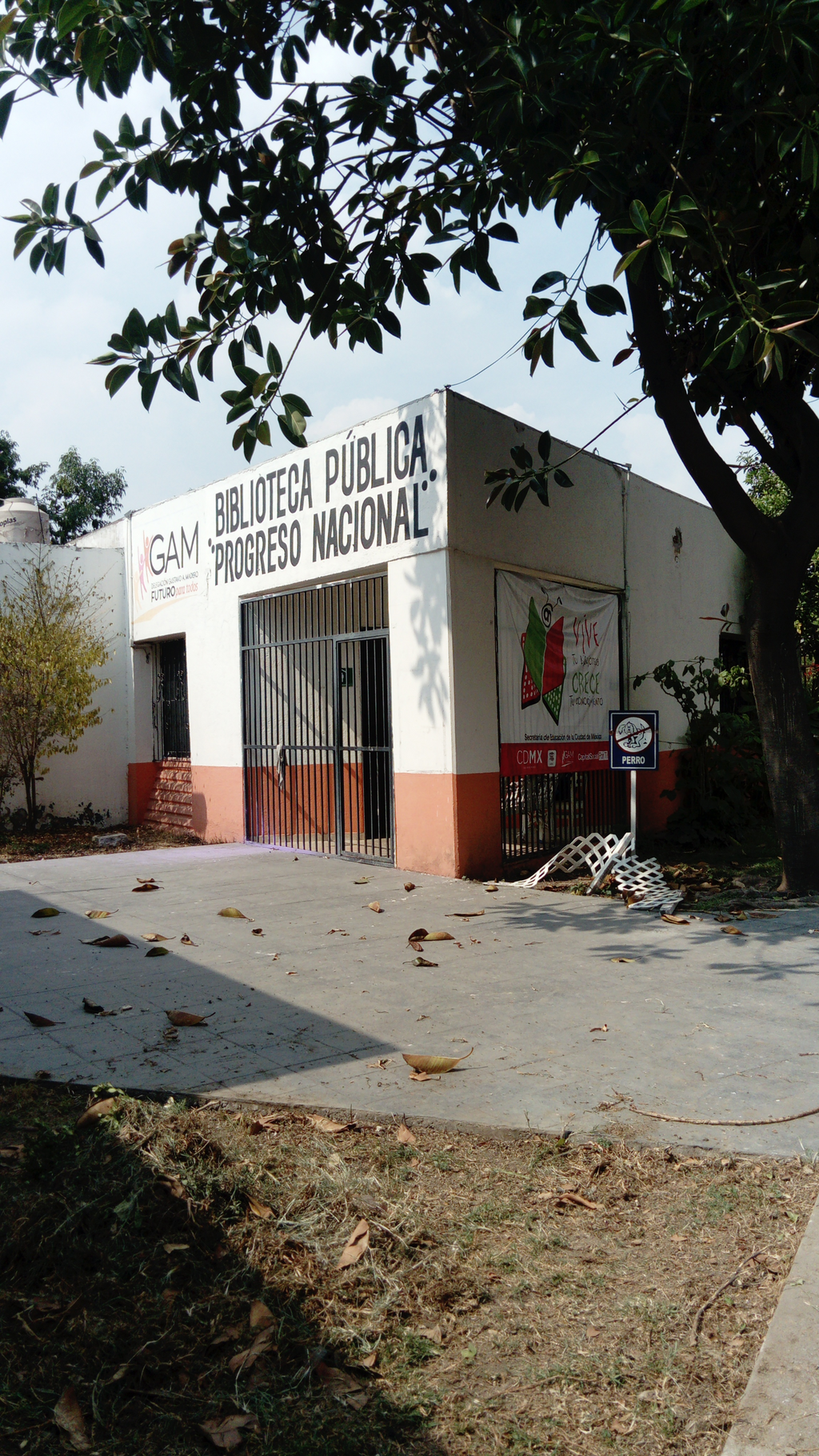 imagen0