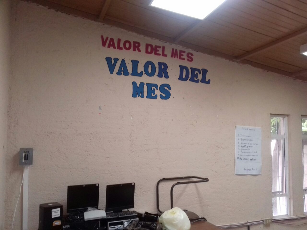 imagen3