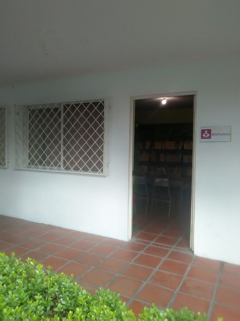 imagen1