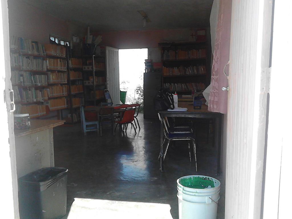 imagen3