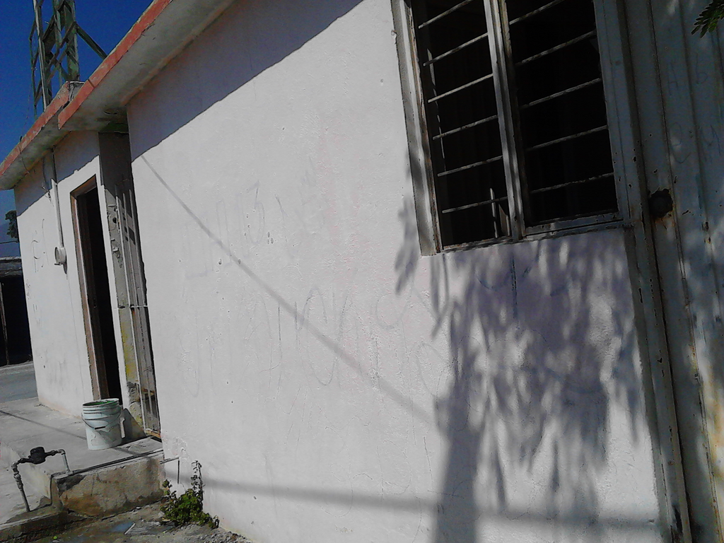 imagen1