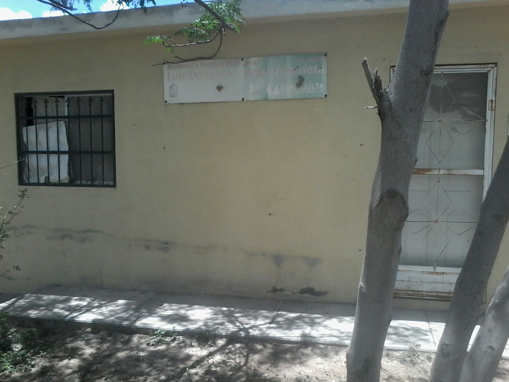 imagen0