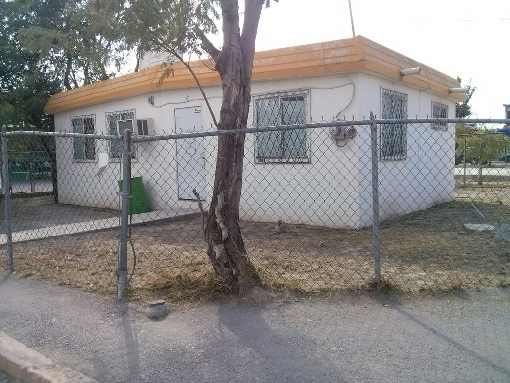 imagen0