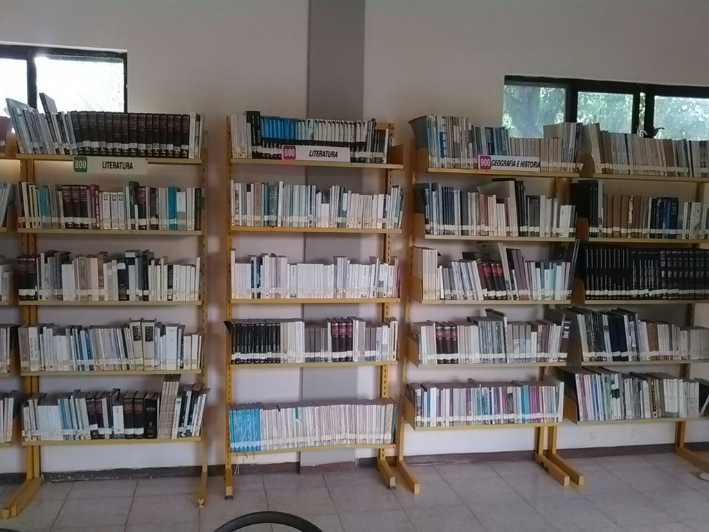 imagen1
