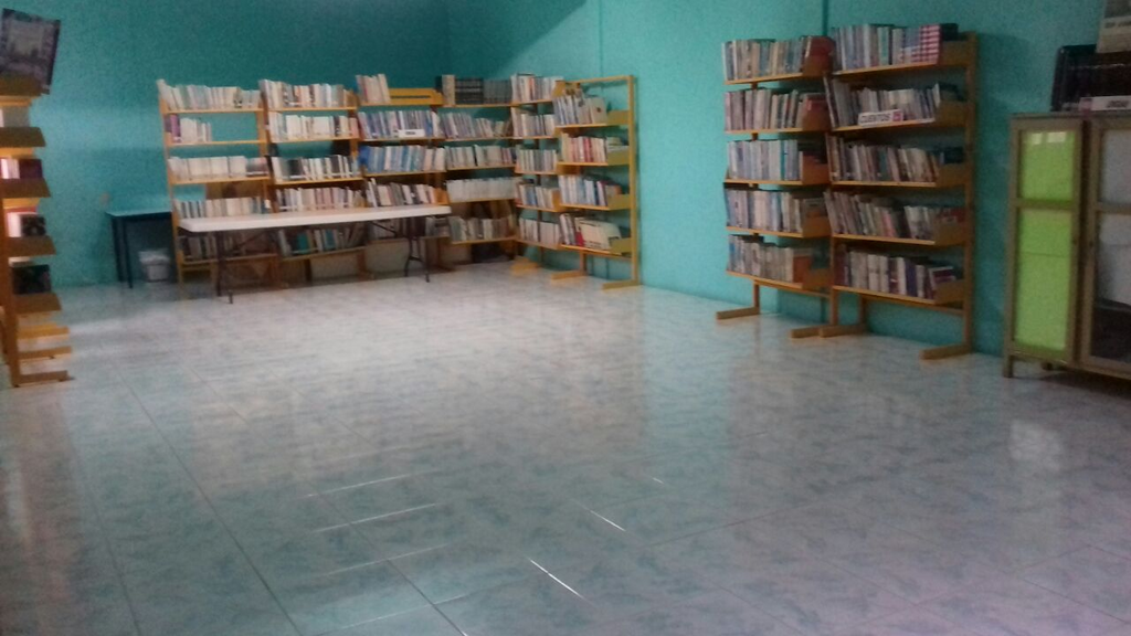 imagen1